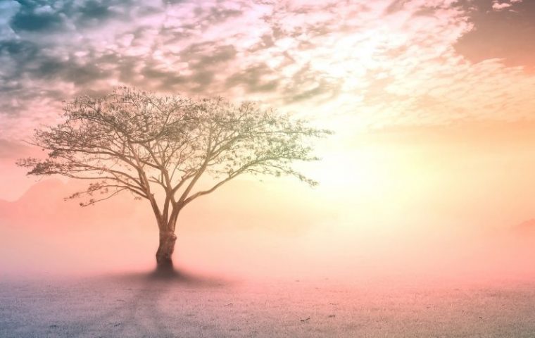 The 5 Most Important Things in Life That You Should Know and Embrace